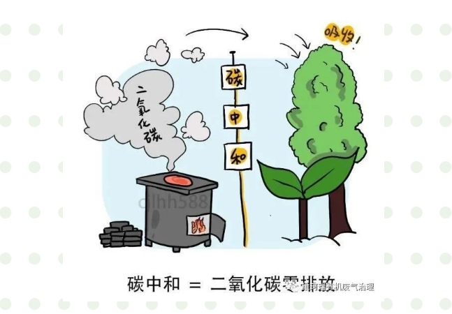 “碳中和、碳達峰”構(gòu)建綠色、低碳、循環(huán)的可持續(xù)發(fā)展經(jīng)濟體系